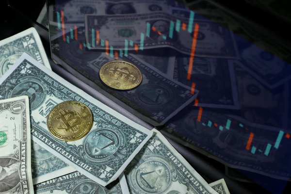 The Impact of Pet Ownership on Your Home Insurance Premiums in the UK: What You Need to Know